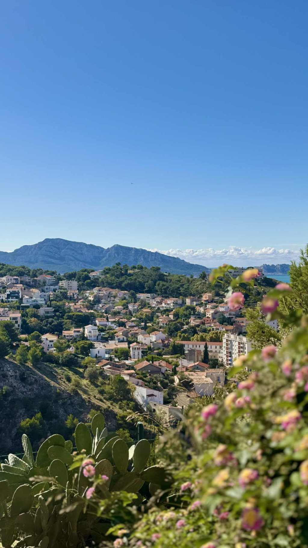 Visiter Marseille : incontournables et conseils pratiques